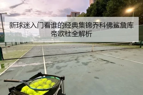 新球迷入门看谁的经典集锦乔科佛鲨詹库帝欧杜全解析 | YaxinSports